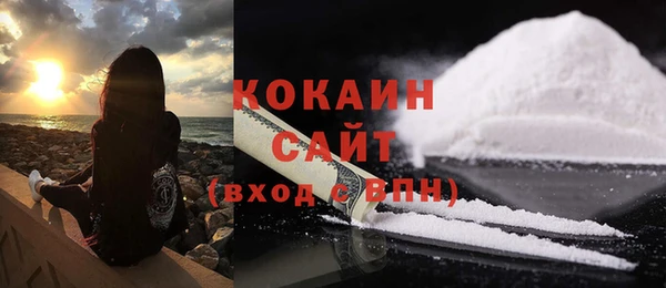 гашик Слюдянка
