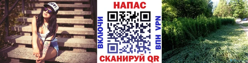 Бошки Шишки планчик  закладка  Очёр 